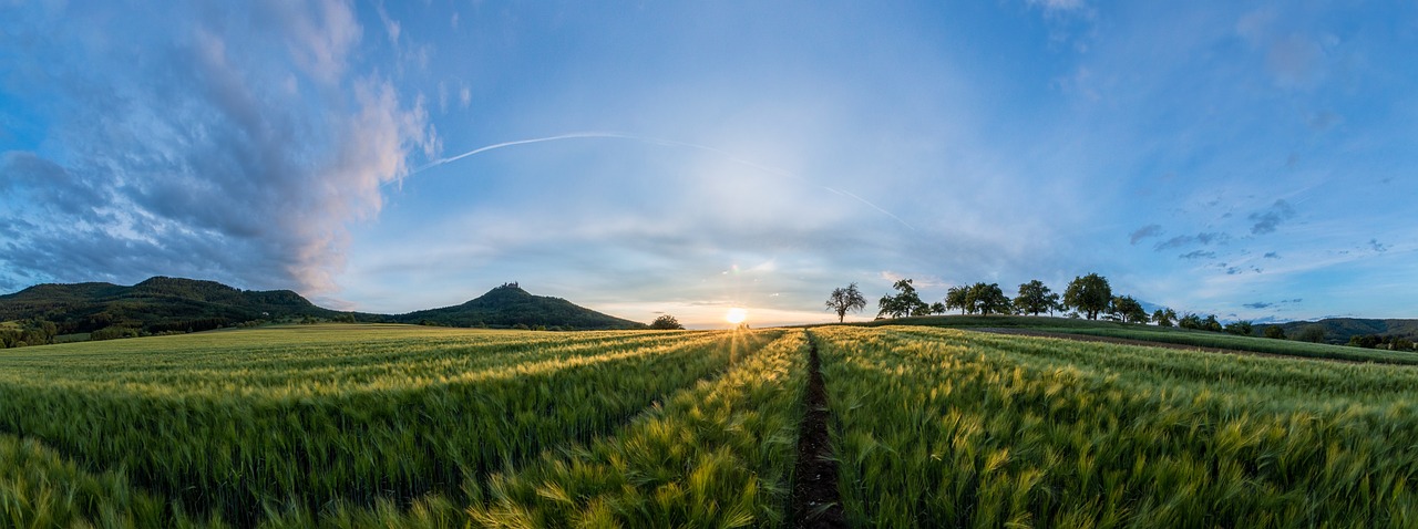 What is Regenerative Agriculture?
